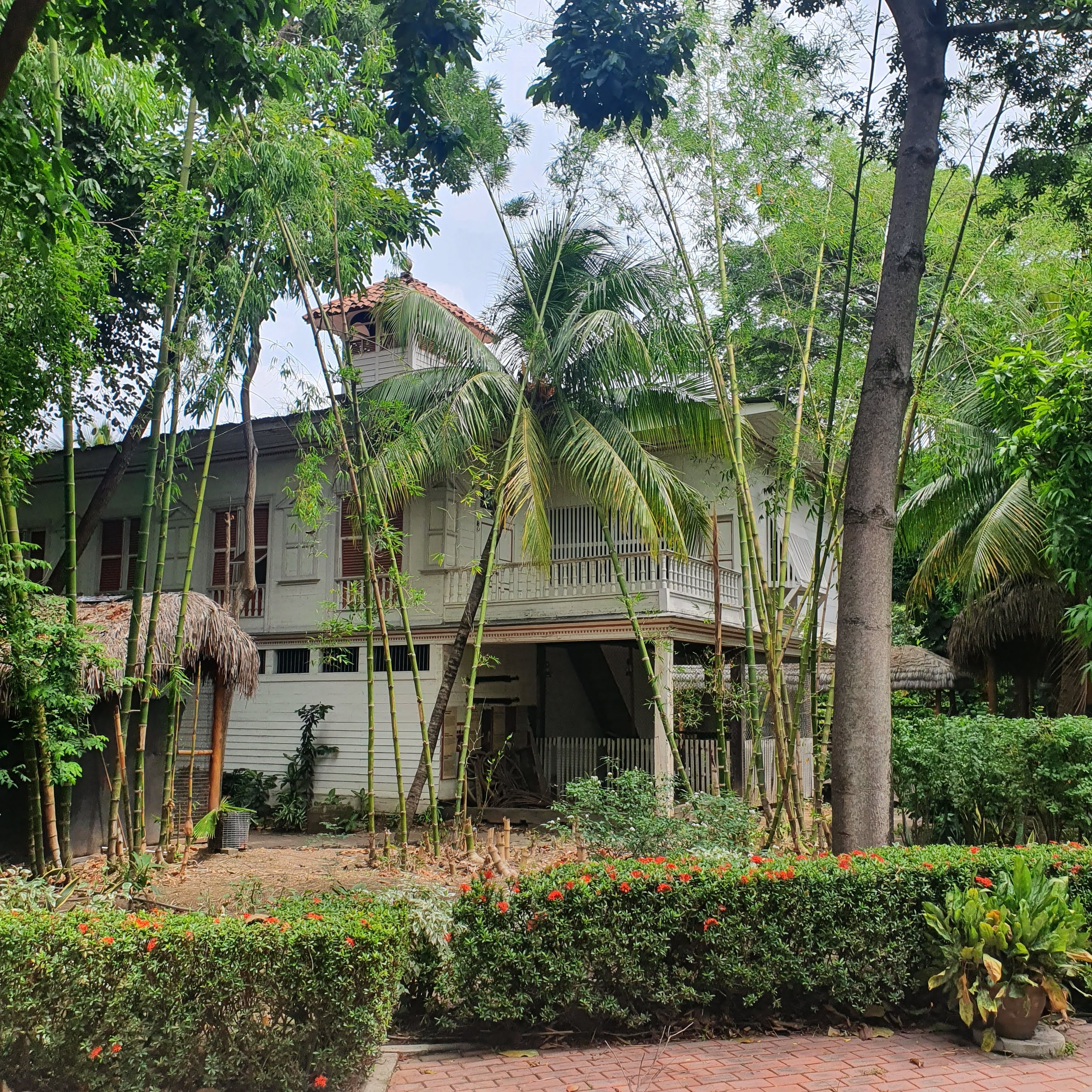 Guayaquil Historical Park 14